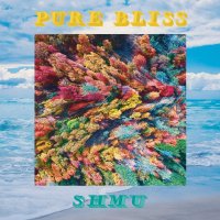 Shmu - Pure Bliss 2020 FLAC