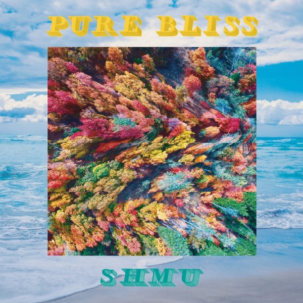 Shmu - Pure Bliss 2020 FLAC