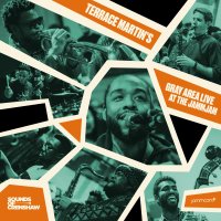 Terrace Martin's Gray Area - Live at the JammJam  2020 FLAC