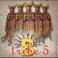 B-TRIBE - 2003 - 5 FLAC
