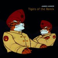 James Asher - 2008 Tigers Of The Remix FLAC