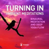iAwake Technologies - Turning In - Ambient Meditations 2015 FLAC