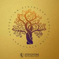 VA - 2020 Steyoyoke Perception, Vol. 6