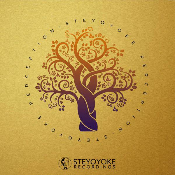 VA - 2020 Steyoyoke Perception, Vol. 6