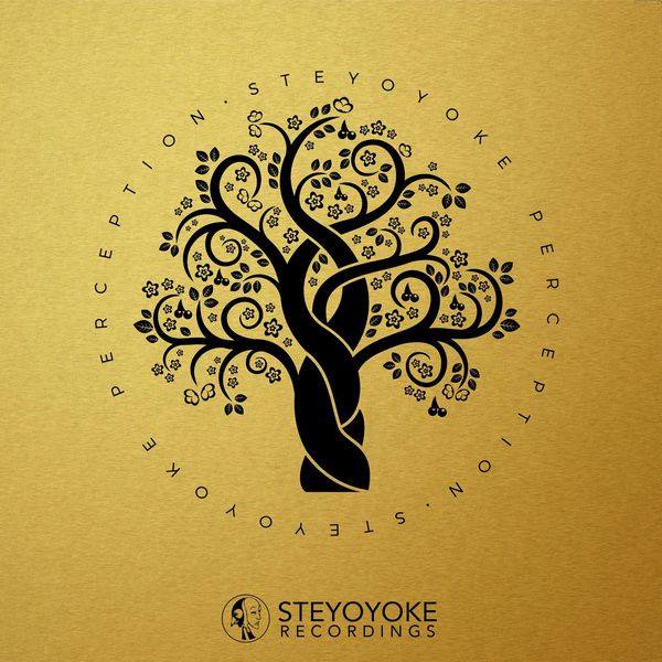 VA - 2017 Steyoyoke Perception, Vol. 1