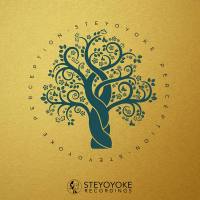 VA - 2018 Steyoyoke Perception, Vol. 2