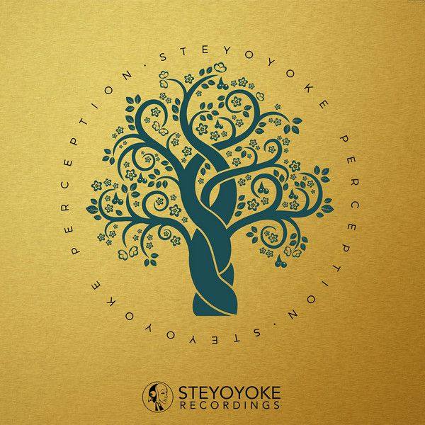 VA - 2018 Steyoyoke Perception, Vol. 2
