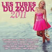 Various Artists - Les tubes du zouk (33 hits 2010) (2010)