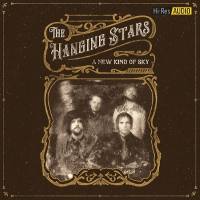 The Hanging Stars - A New Kind of Sky (2020) [FLAC]