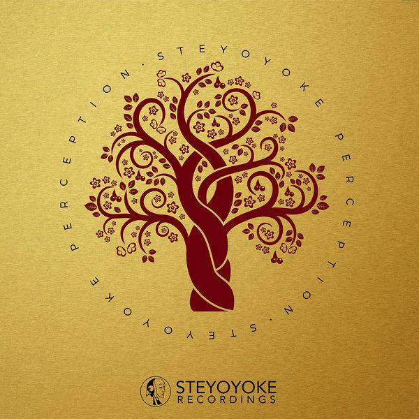 VA - 2018 Steyoyoke Perception, Vol. 3