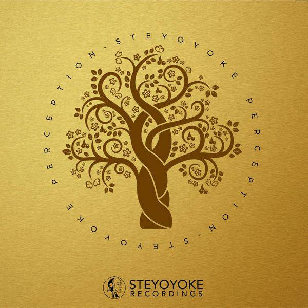 VA - 2018 Steyoyoke Perception, Vol. 4