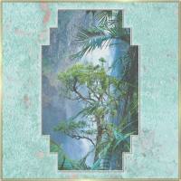 Soda Lite - In Eco (2017) [FLAC]