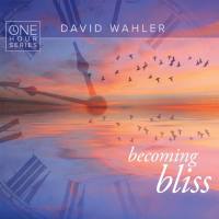 David Wahler - Becoming Bliss One Hour Series (2016)