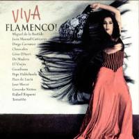 Various Artists - Viva Flamenco!(2000) FLAC