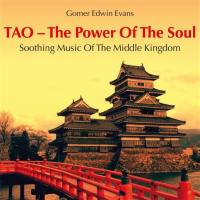 Gomer Edwin Evans - 2014 - TAO - The Power Of The Soul [Neptun] WEB-FLAC