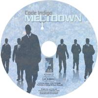 Code Indigo - MELTdown(2013)_Flac