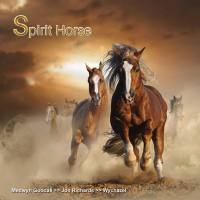 Various Artists - Spirit Horse (2016)
