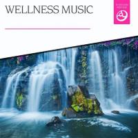 Various Artists - Wellness Music - 2015 (FLAC)