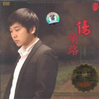 邓杰《 伤情路》DSD 2010 WAV
