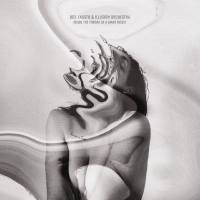 Joel Fausto,Illusion Orchestra - Inside The Throat Of A Giant Insect (2019) FLAC