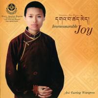 Ani Tsering Wangmo - Immeasurable Joy (2006) [FLAC]