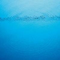 Caribou - Suddenly (2020)