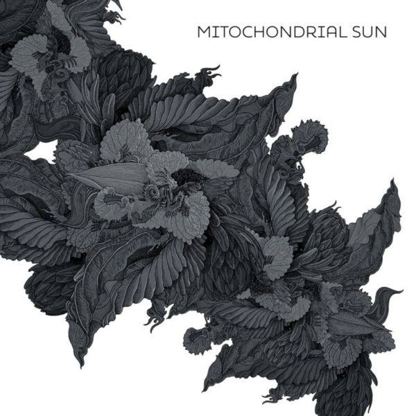 Mitochondrial Sun - Mitochondrial Sun 2020 FLAC