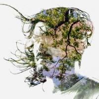 Bibio - Ribbons (2019) FLAC