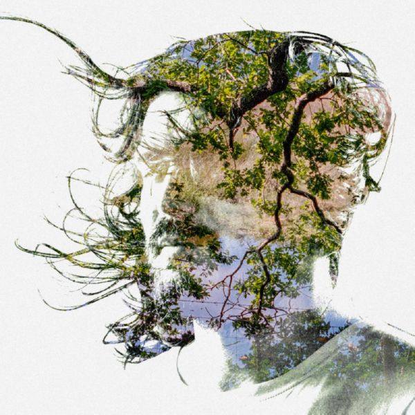 Bibio - Ribbons (2019) FLAC