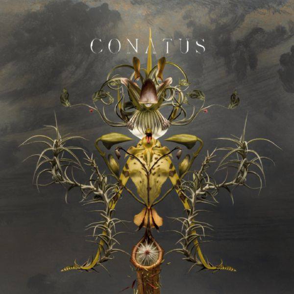 Joep Beving - Conatus (2018) FLAC