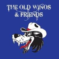 Steve Goldberger - The Old Winos & Friends 2020 FLAC