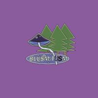 Blusm Tusm - Drak Psy Album - FLAC - 2020