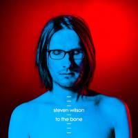 Steven Wilson - To The Bone 2017 FLAC