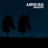 Aaron Cilia - 2020 - Meadows (FLAC)
