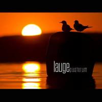 Lauge - Pusterum 2015 FLAC