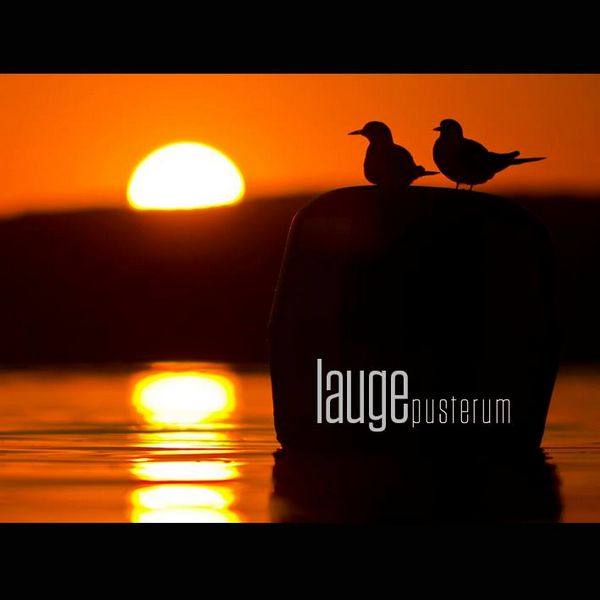Lauge - Pusterum 2015 FLAC
