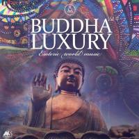 VA - Buddha Luxury Vol.4 FLAC 2020