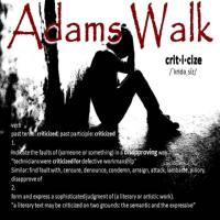 Adams Walk - Criticize 2021 FLAC
