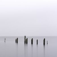 Owl - Infinite Horizon 2021 Hi-Res