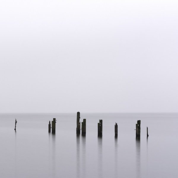 Owl - Infinite Horizon 2021 Hi-Res