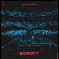 Alan Walker,ISáK - Sorry _feat. ISáK_.flac