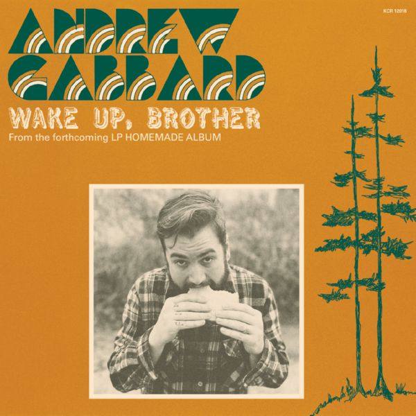 Andrew Gabbard - Wake Up,Brother.flac