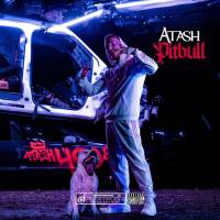 Atash - Pitbull.flac