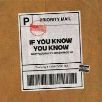 Babyface Ray,Moneybagg Yo - If You Know You Know.flac