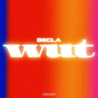 Biicla - Wut.flac