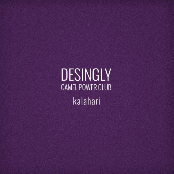 Desingly,Camel Power Club - Kalahari.flac