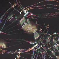 Holland Andrews - Gloss.flac