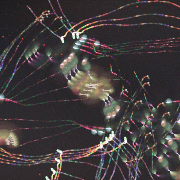 Holland Andrews - Gloss.flac