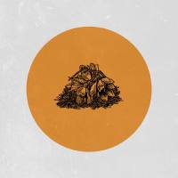 Skywalker - Charons Song.flac