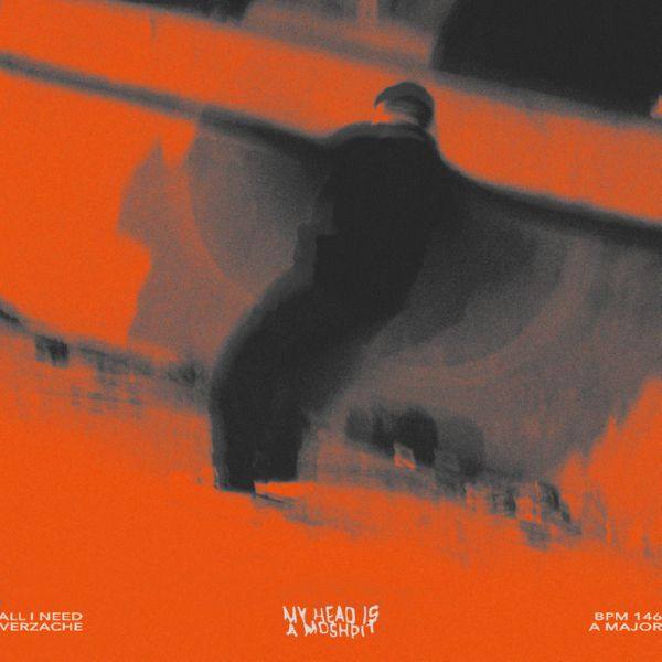 verzache - All I Need.flac